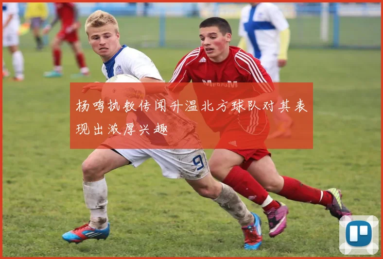 杨鸣执教传闻升温北方球队对其表现出浓厚兴趣