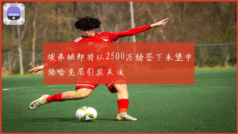 埃弗顿即将以2500万镑签下米堡中场哈克尼引发关注
